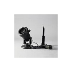 Poryector