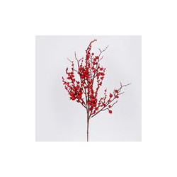 Rama Berries