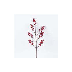 Rama Berries