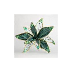 Poinsettia