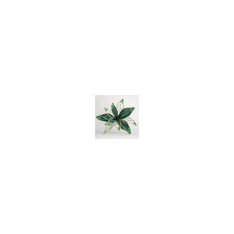 Poinsettia
