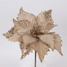 Poinsettia