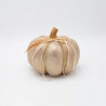 Calabaza