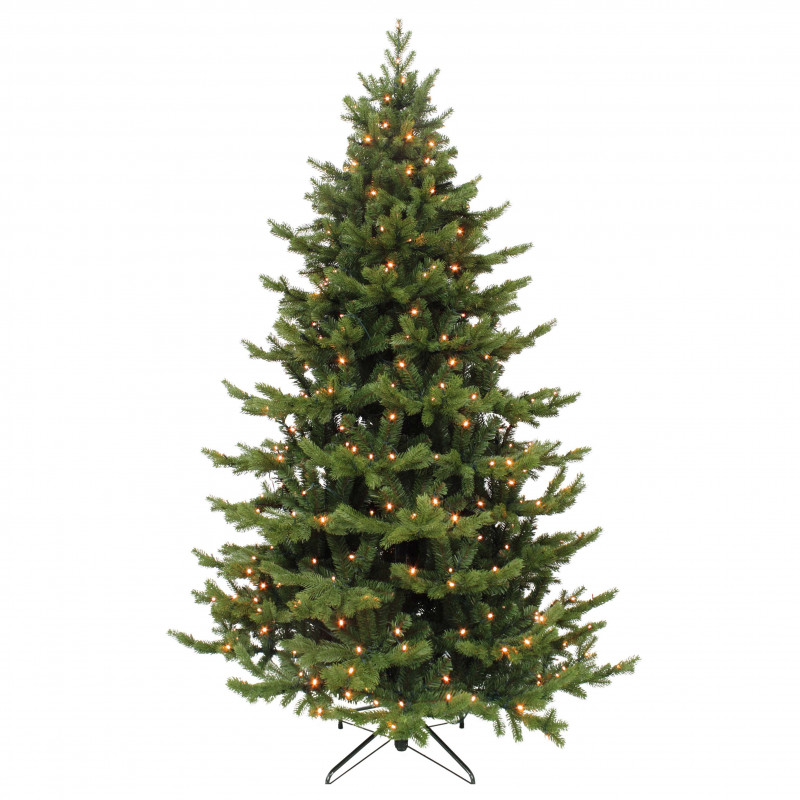 ABETO FRASIER LED 1824L 4.25 m