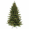 ABETO FRASIER LED 1824L 4.25 m