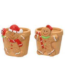 Maceta galleta 8,10 cm