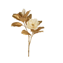 Flor Magnolia