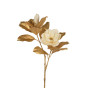 Flor Magnolia