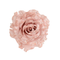 Rosa rosa 14cm
