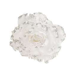 Rosa blanca 14cm