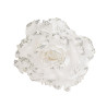 Rosa blanca 14cm