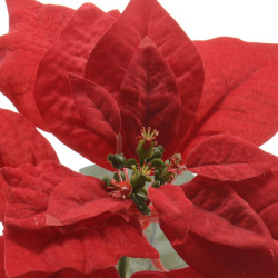 Flor Poinsetia 22 cm
