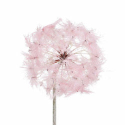 Diente de León 88 cm