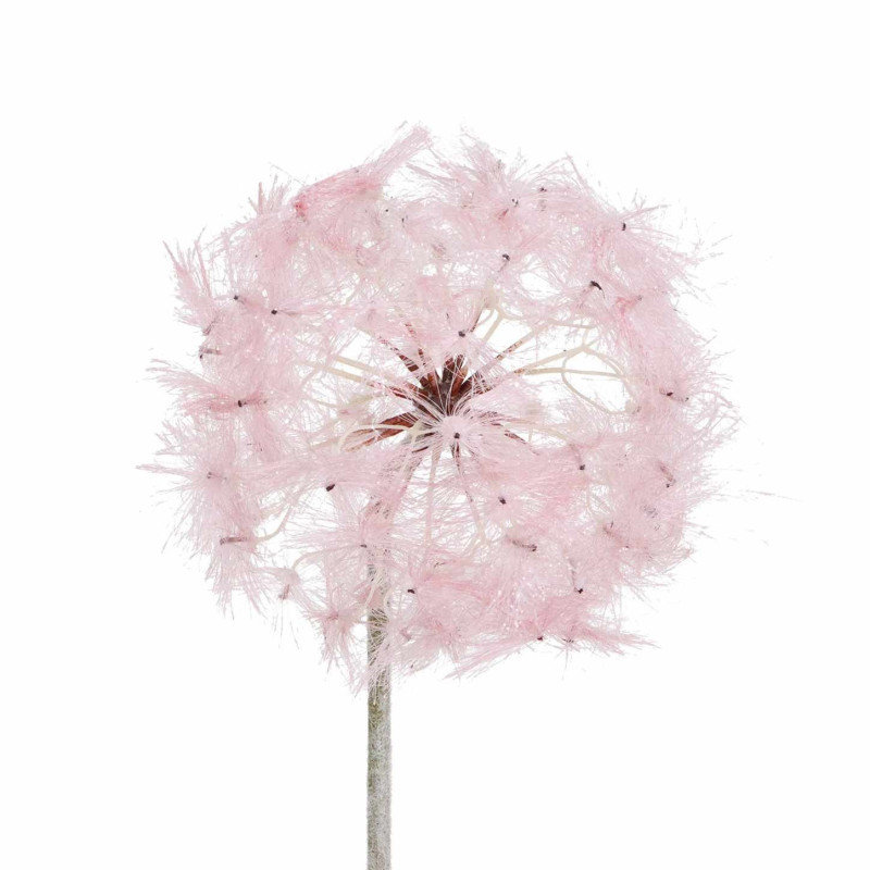 Diente de León 88 cm