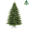 Abeto Sherwood LED 3728 L 6,00 m