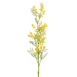 Mimosa amarilla 79,5 cm