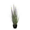 Eremurus en maceta morada H80x D25 cm