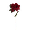 Rosa roja 65cm