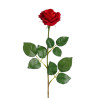 Rosa roja 59cm