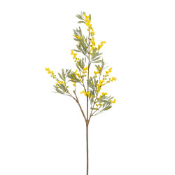 Mimosa amarilla 91 cm