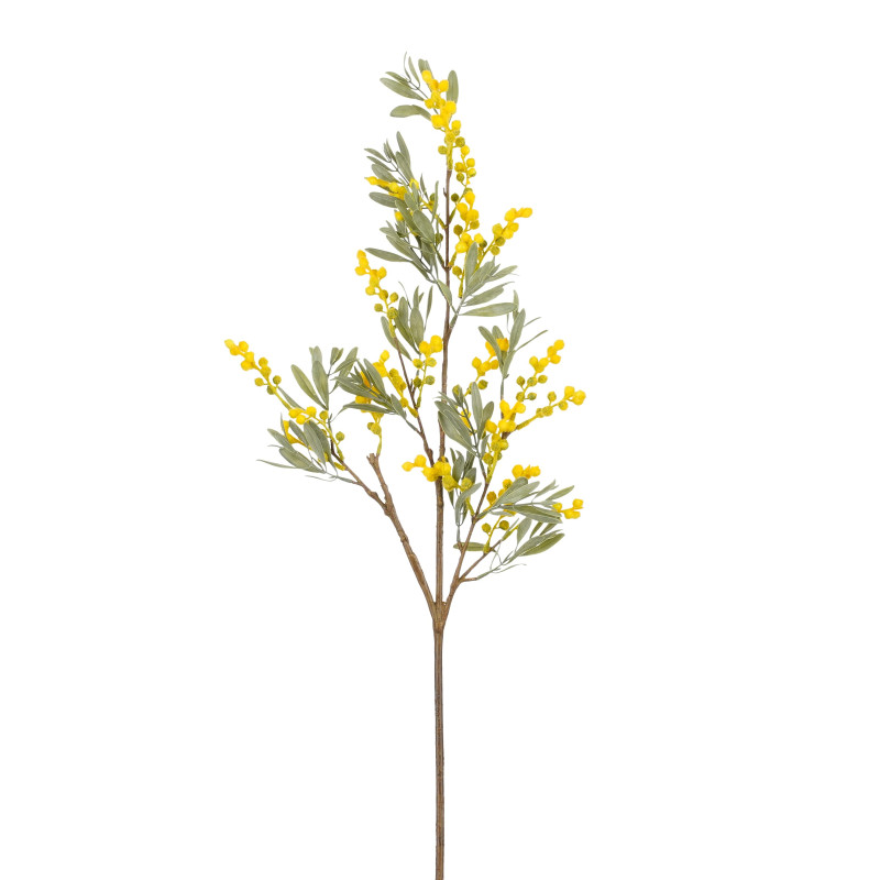 Mimosa amarilla 91 cm