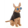 Chihuahua 28cm