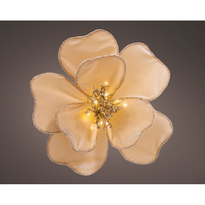 Poinsetia