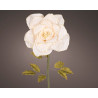 Flor Led