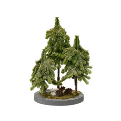 Set Mini árboles