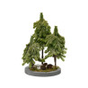 Set Mini árboles