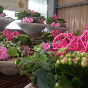Centros de flores en rosa